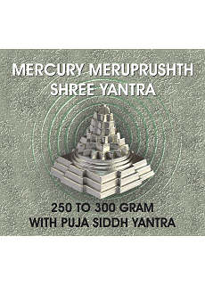 Parad Shree Yantra With Pooja
